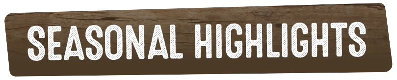 Seasonal Highlights